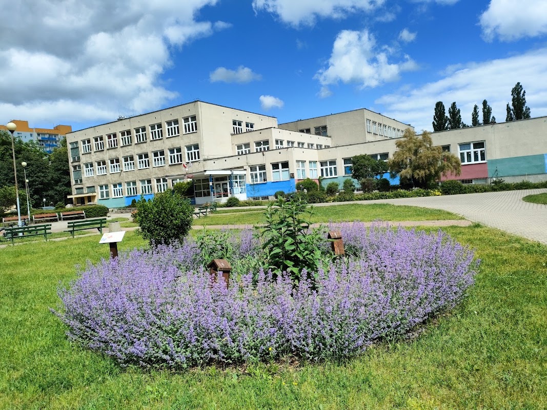 Bieżnia - Szkoła Podstawowa nr 48 w Gdańsku