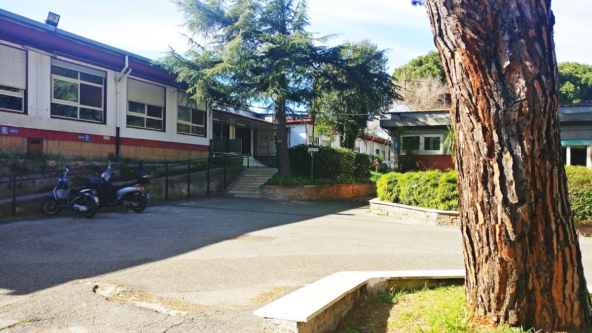 Campo da pallavolo - Istituto tecnico industriale Vallauri