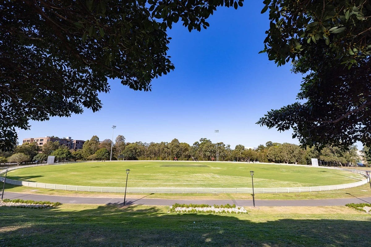 Cricket ground - Alexandria Park