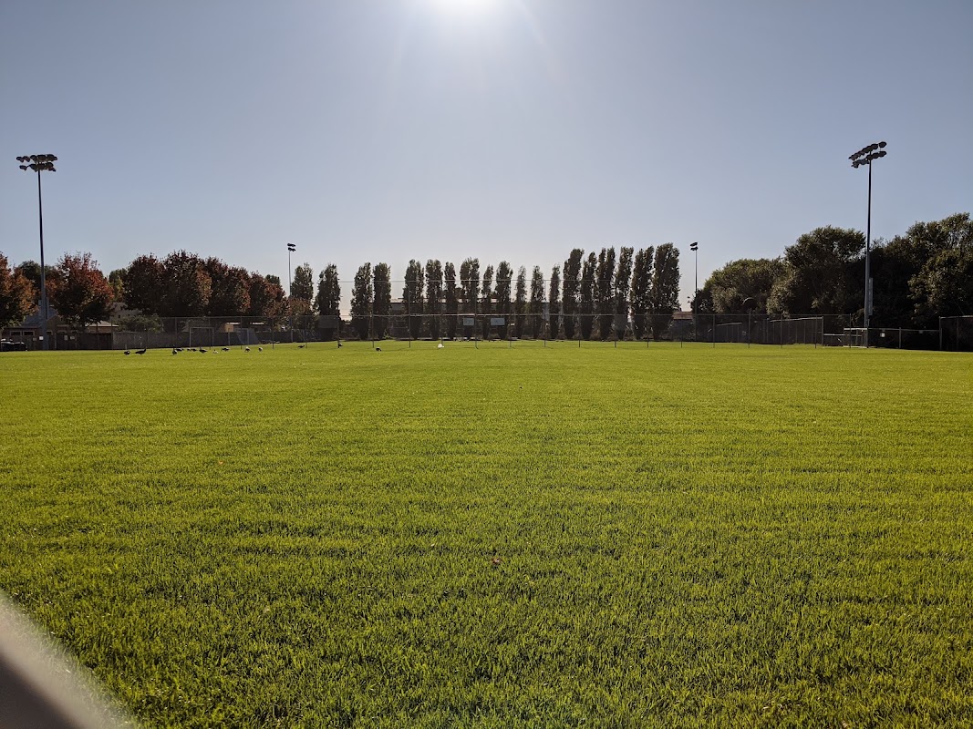 Fielding East