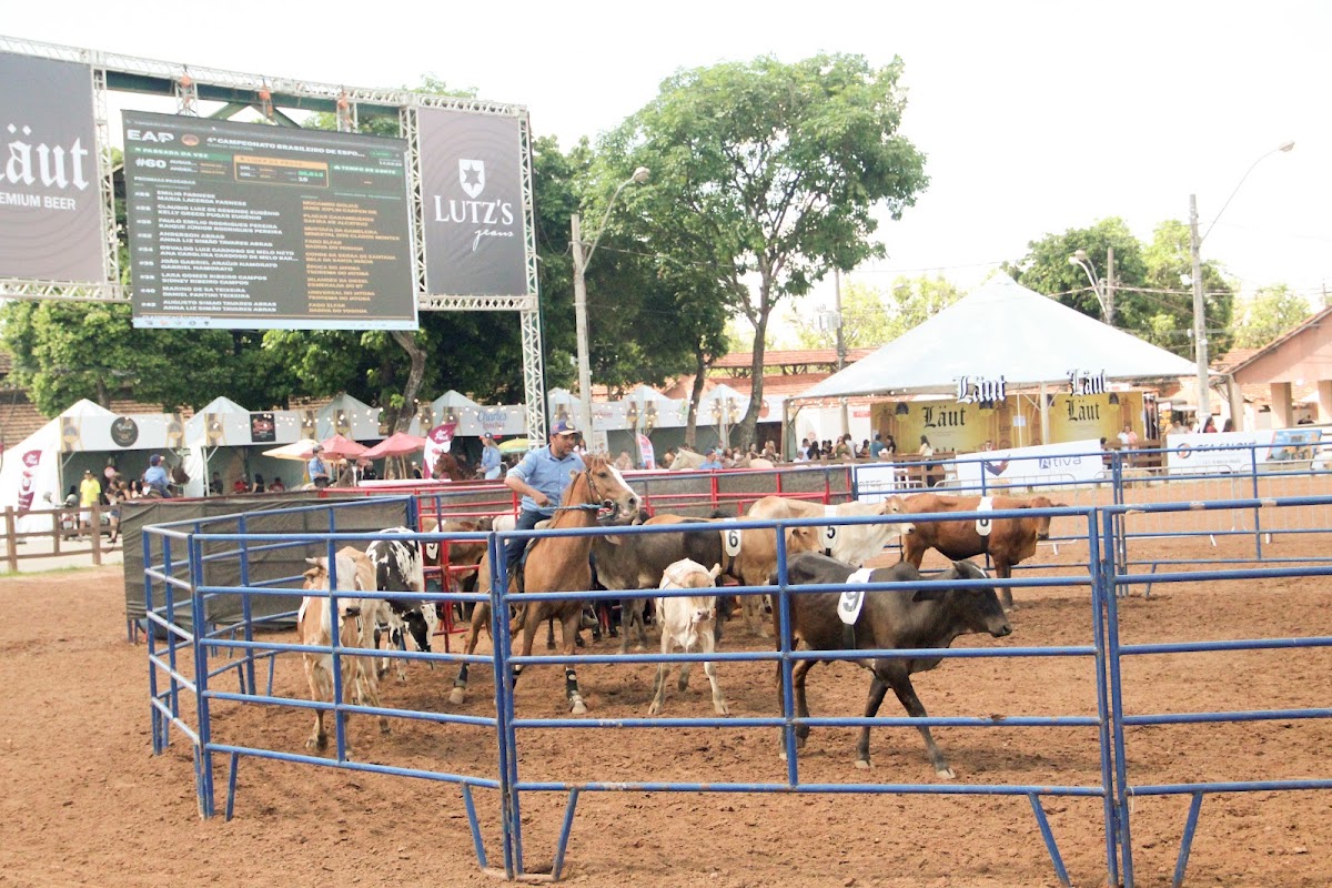 Campo de futebol - Parque de Exposições da Gameleira