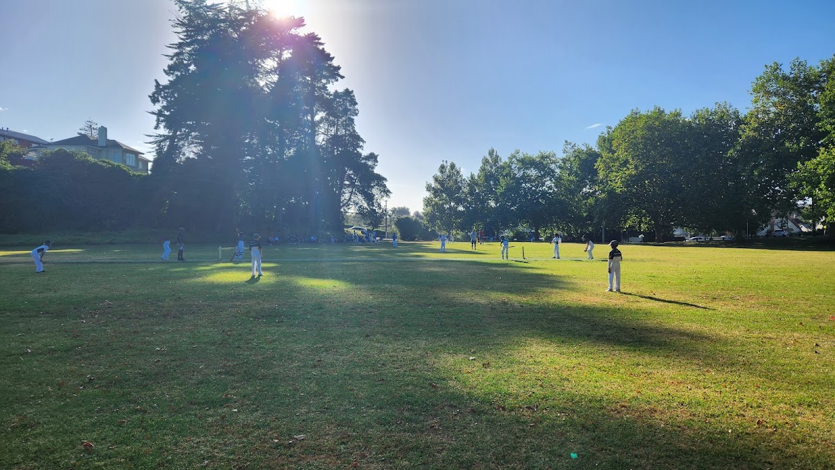 Cricket grounds (2) - Windmill Park