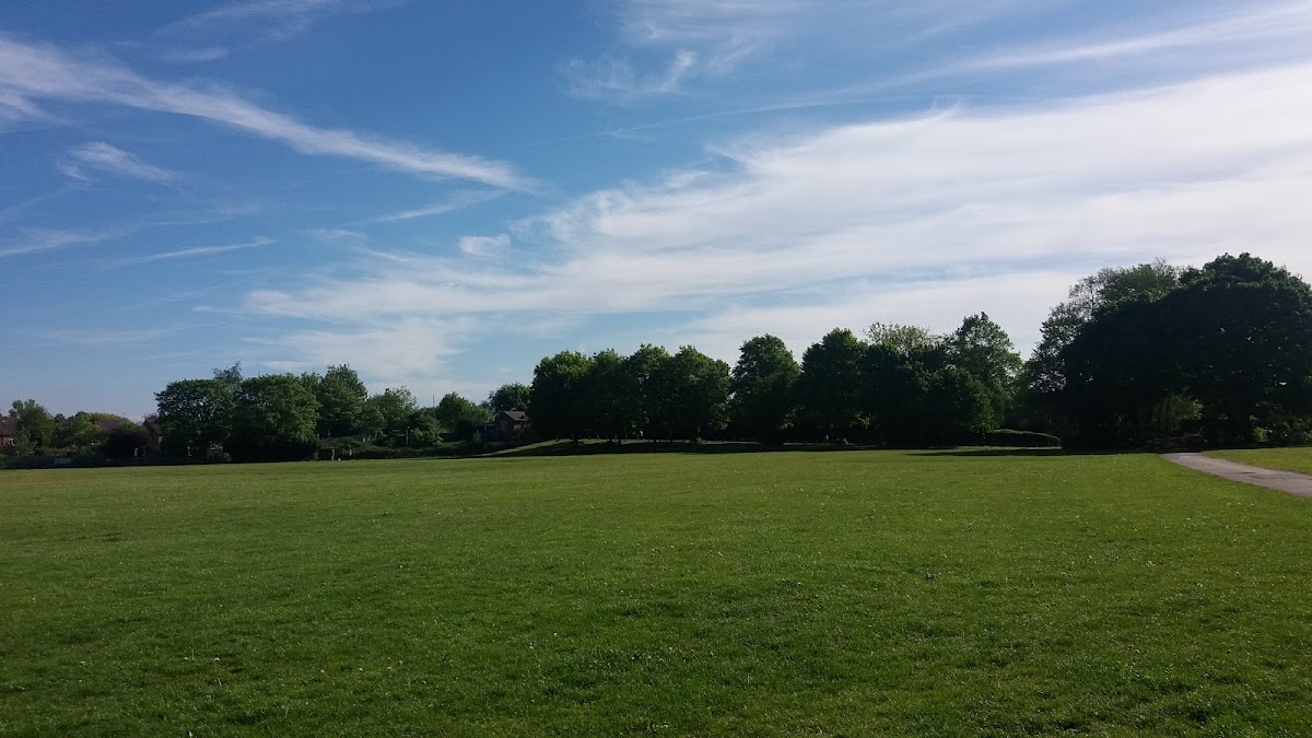 Football pitch - Abbotsfield Park