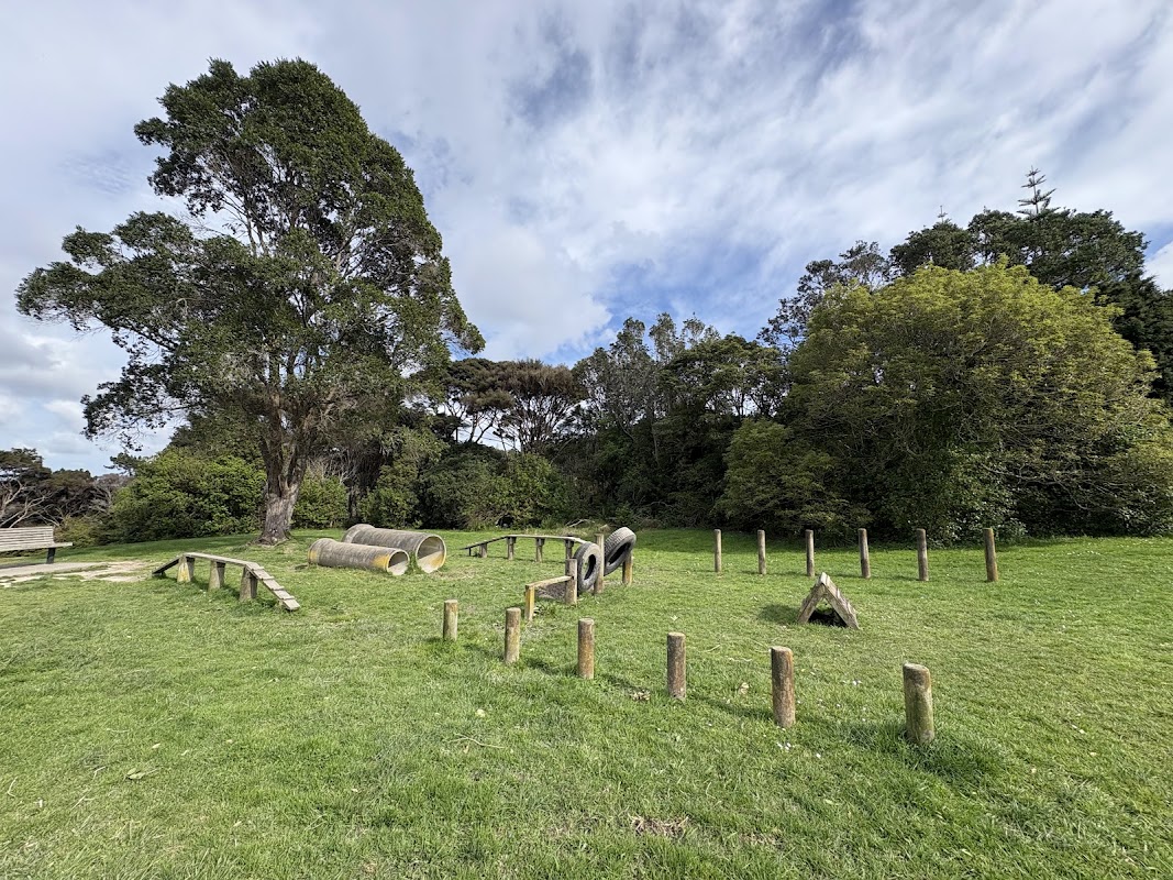 Basketball court - Manuka Reserve