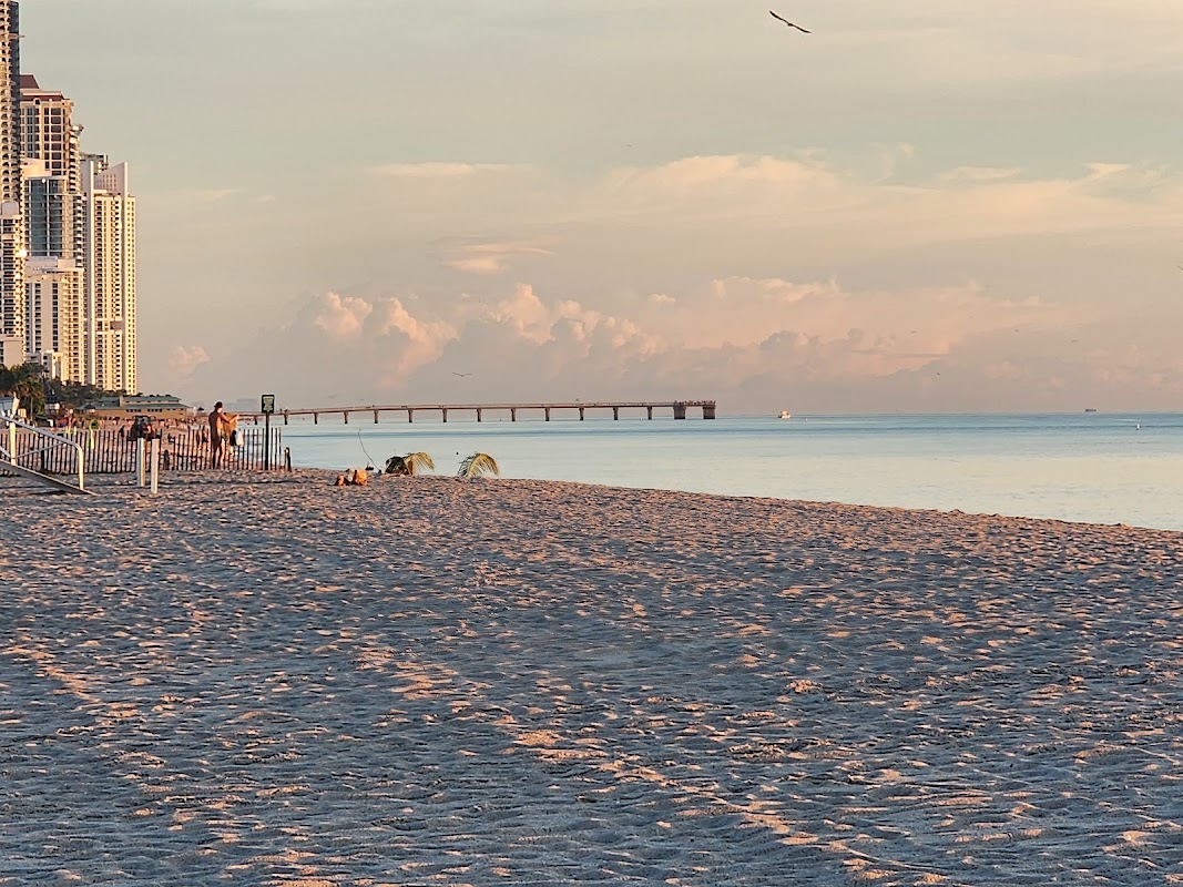 Volleyball courts (3) - Haulover Beach Park