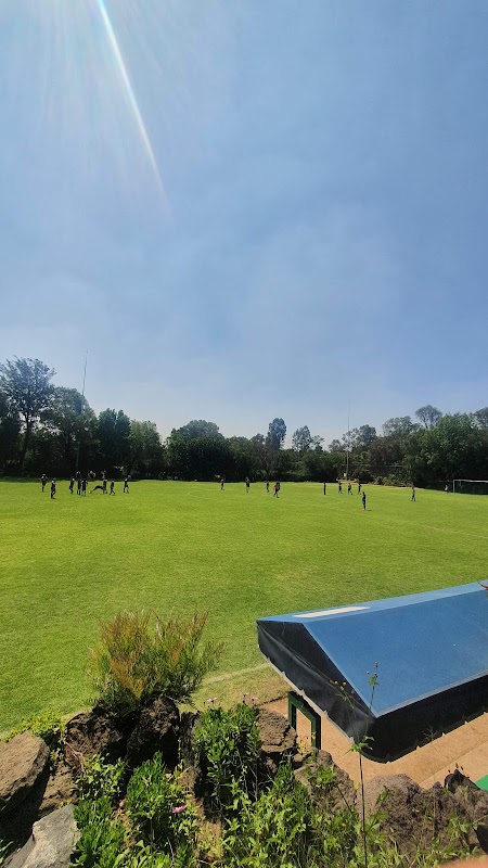 Cancha de tenis - El Área Verde