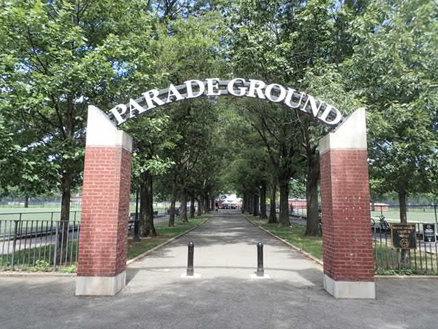 Ping pong tables (3) - Prospect Park Parade Ground