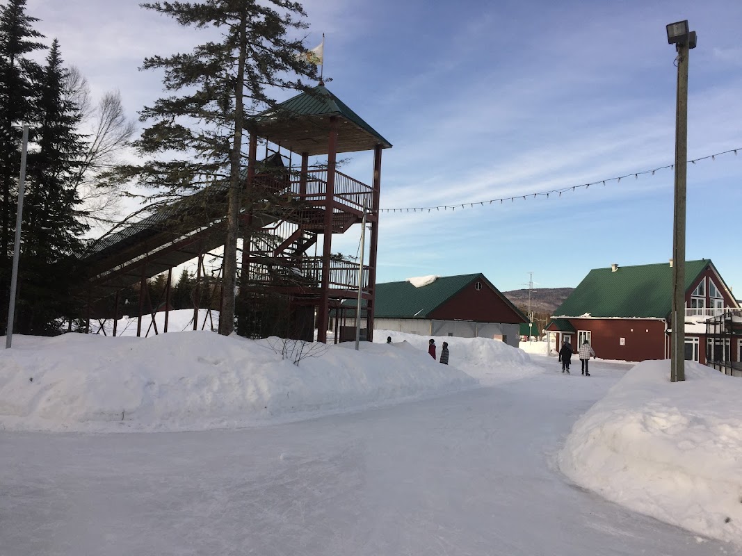 Patinoire de Shannon