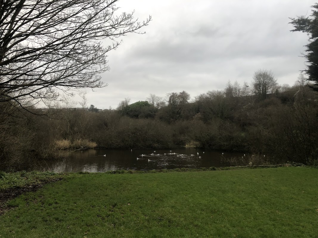 Soccer pitch - Glen River Park