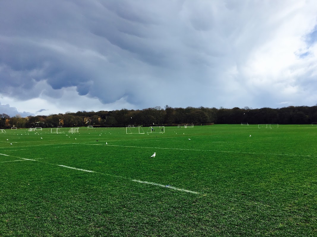 Rugby pitch - Richardson Evans Memorial Playing Fields