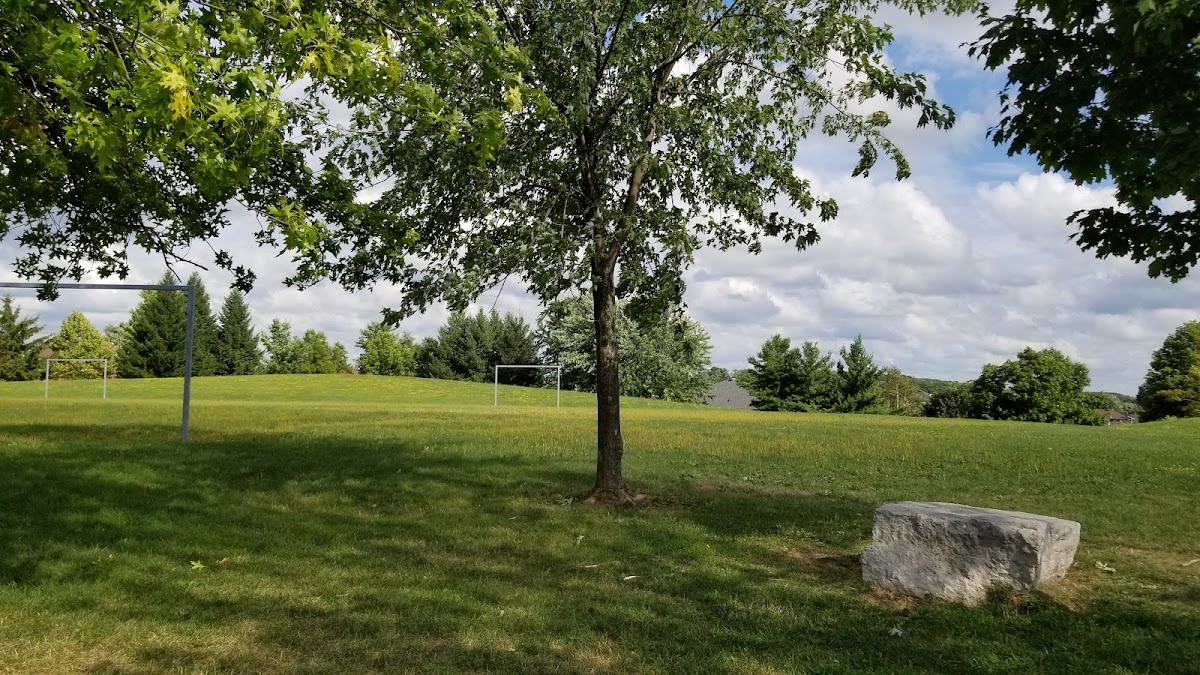 Soccer field - Lion's Can-Amera Park