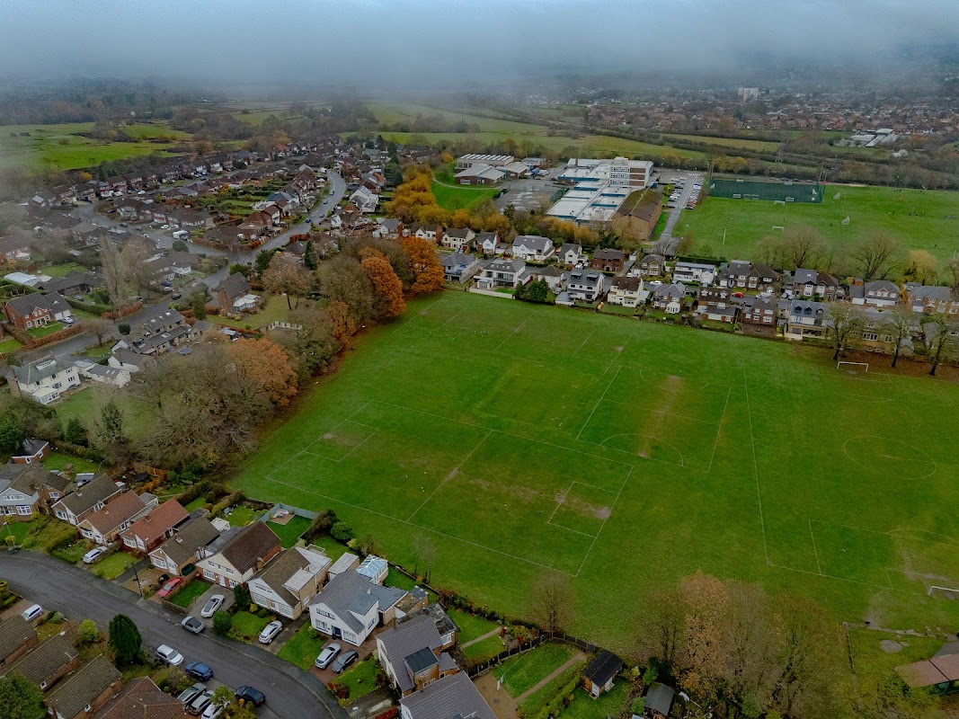 Cricket ground - Woodhall Park