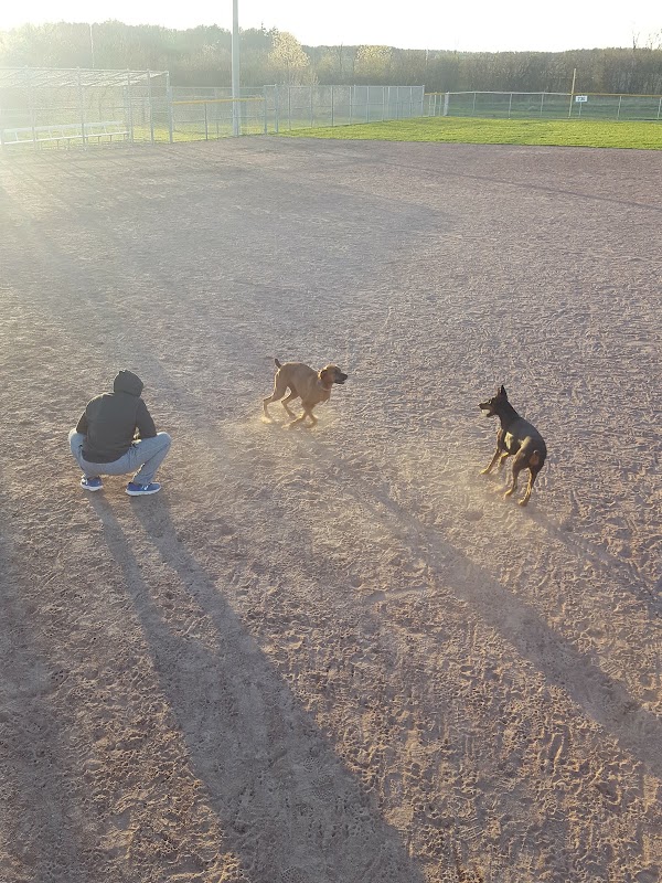 Baseball diamond #2 - Palermo Park