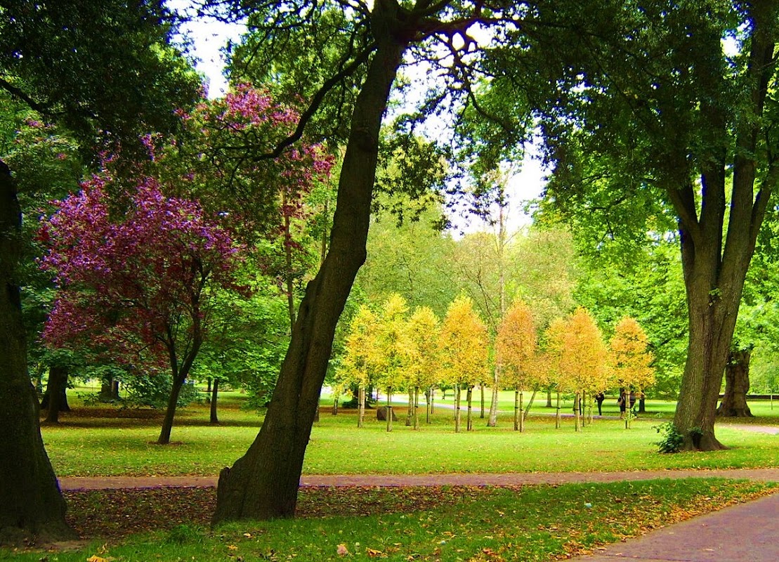Tennis courts (4) - Bute Park