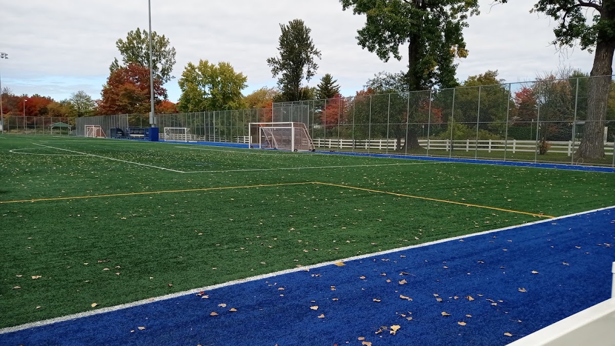 Soccer fields (2) #1