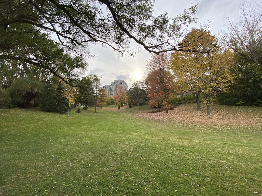 Baseball diamond - Dallington Park