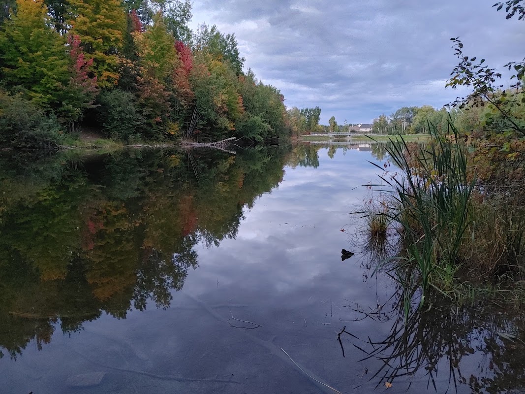 Tennis courts (3) - Parc du lac Claude