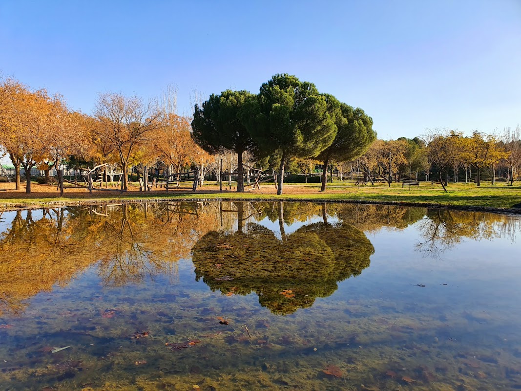 Campos de fútbol (2) - Parque de Andalucía