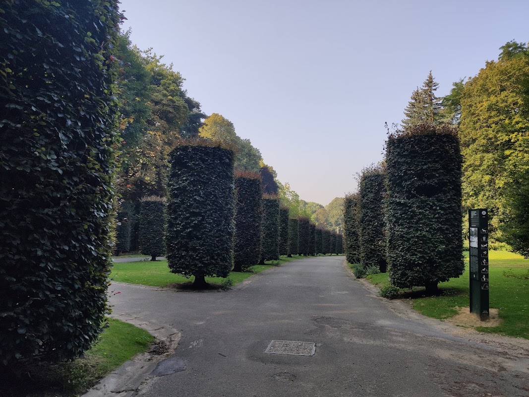 Terrain de football - Parc d'Osseghem - Ossegempark