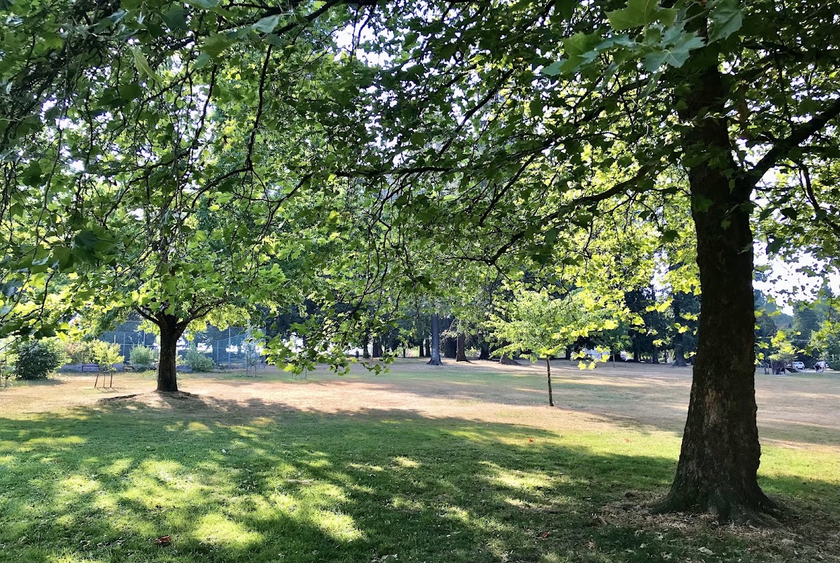 Baseball diamonds (2) - Clark Park