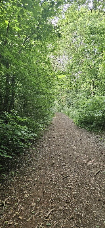 Basketball court - Broxtowe Country Park