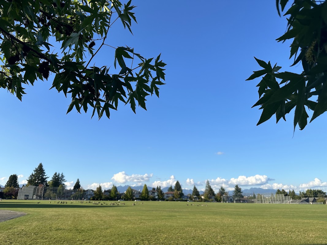 Baseball diamond #4 - Montgomery Park
