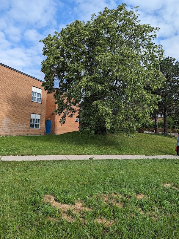 Baseball diamond - Daystrom Public School